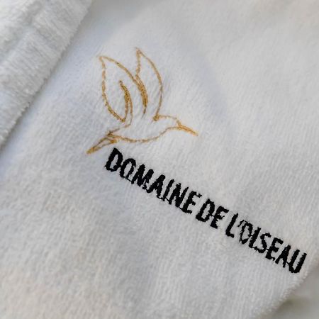 Domaine De L'Oiseau Bed and Breakfast Gergy Εξωτερικό φωτογραφία